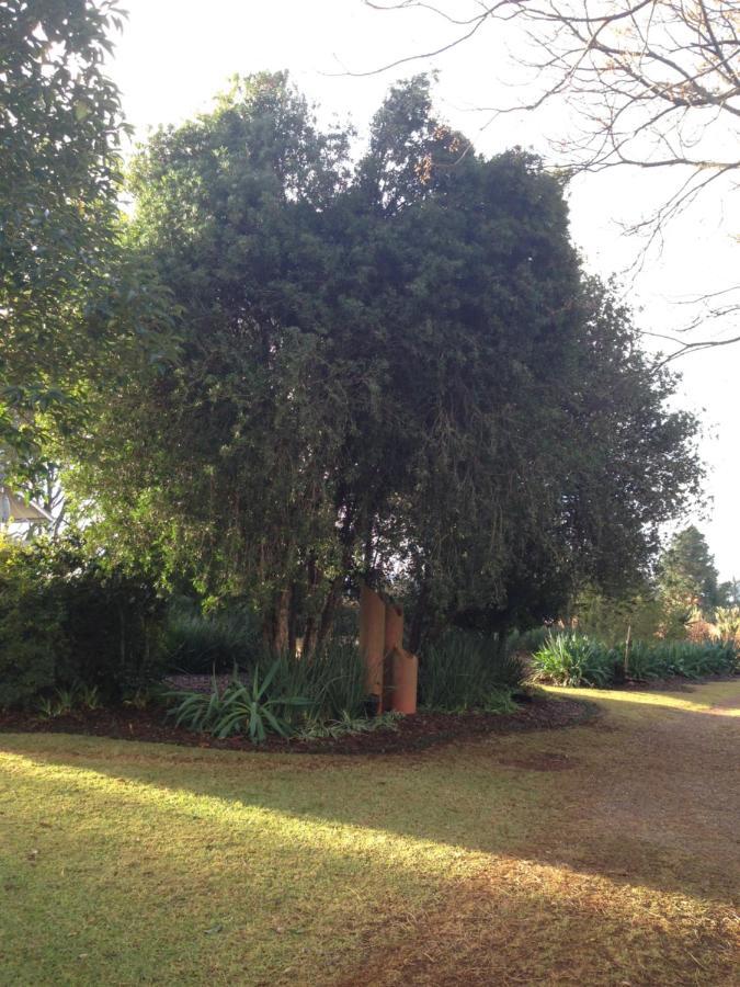 Deo Resta Guest Lodge Piet Retief Zewnętrze zdjęcie