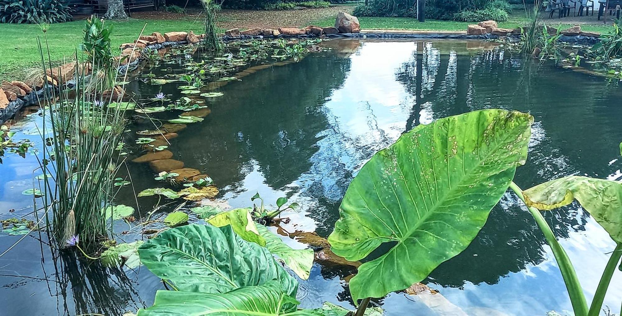 Deo Resta Guest Lodge Piet Retief Zewnętrze zdjęcie