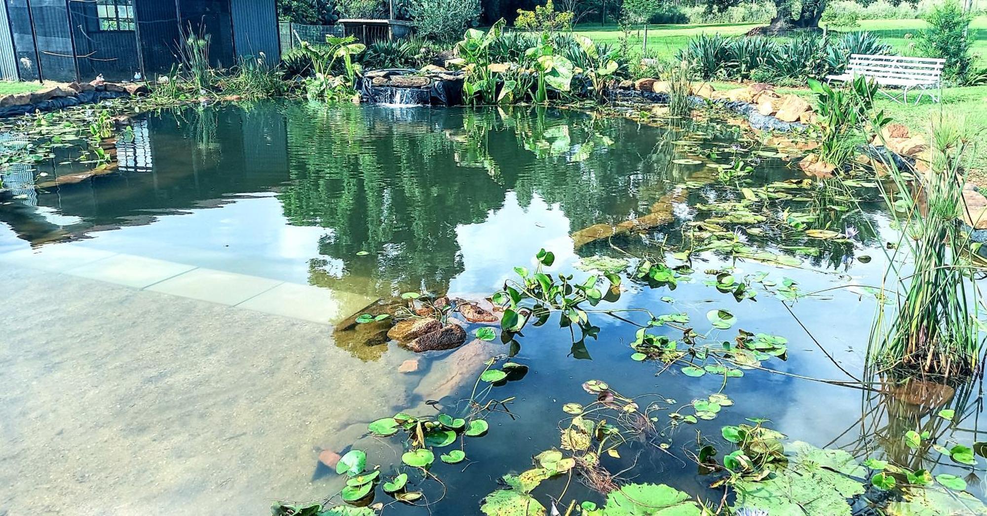Deo Resta Guest Lodge Piet Retief Zewnętrze zdjęcie